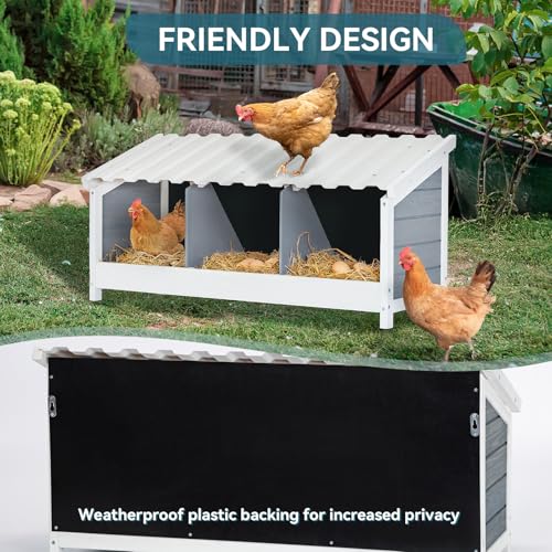 PETSFIT 3 Holes Chicken Nesting Box, PVC Waterproof Roof, Privacy Cover | Wall Mounted or Floor Use, Natural Fir Wood, Easy to Assemble and Clean, For Backyard Coops and Farms, Fits Standard Hens - size: 3 Holes