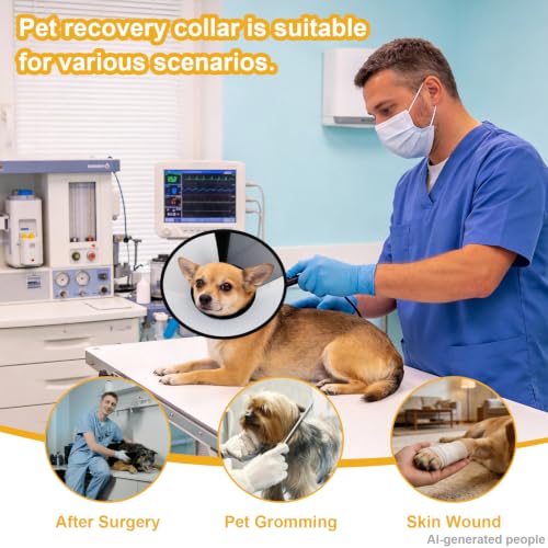 Plastic Dog Recovery Cone Collar, Soft Comfortable Breathable Post-Surgery Pet Cone, Escape-Proof & Easy Clean, Prevents Licking Wounds, Waterproof & Adjustable M (Neck 12.2"-14.9") - size: M(Neck 12.2"-14.9")