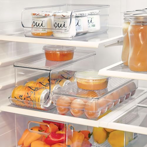 iDesign Clear Plastic Egg Holder for Fridge with Lid, 21 Egg | Storage Container, Organizer Bin - color: Clear, style: Pack of 1