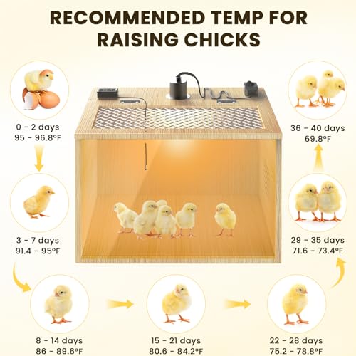 Brooder Box for Chicks, 16 Inch Wooden Chicken Brooder Box with 75W Heat Lamps, Thermometer and Tin Foil, Poultry Breeding Kit, Ideal for 3-5 Newborn Chick Duck Quail Bird Hamster, Small