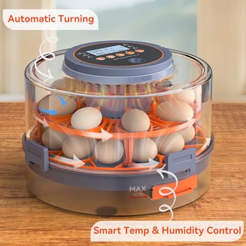 Egg Incubator for Hatching 18 Eggs with Auto Turning, Humidity Sensor, 5 Preset Modes, Transparent Lid for Observation, Ideal for Family Projects, Science Classrooms, Chickens Ducks Quails (Orange)