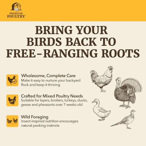 All Flock Feed Pellets, 18% Protein, 40lb, Made in USA | Pre & Probiotics, Supports Growth & Digestion, Ideal for Chickens, Ducks, Geese, Turkeys & Game Birds - size: 40lb (Pack of 1), style: All Flocks