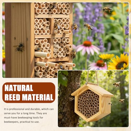 Balacoo Mason Bee Nesting Tubes Refill 200 Pack Reed Inserts | Reed tubes, replacement liners, bee house refill, garden use, solitary bee support, confirm tube size before purchase