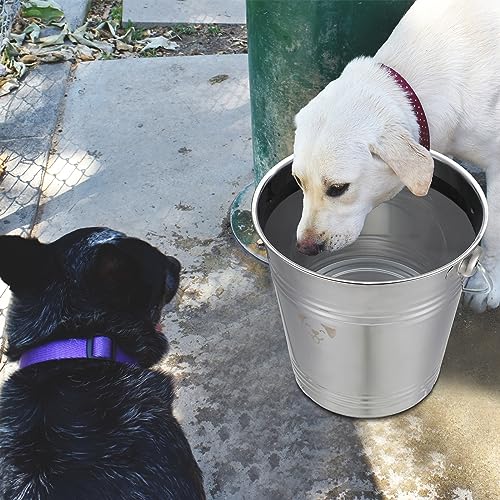 Hicarer 4 Pcs 6 Quart Stainless Steel Dog Water Bucket, Heavy Duty Stainless Steel Bucket Water Pails for Dogs Pets, Kennels Farms Fences Christmas, Silver - size: 6 Quart