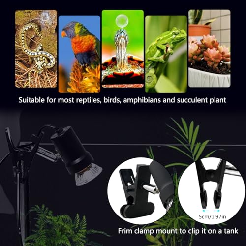 Turtle Heat Lamp + 2 Heating Bulbs (50W,35W), Reptile UVA UVB Basking Spot Lamp, Warming Light with Clamp for Tortoise, Lizard, Snake, Leopard Gecko, Beared Dragon, Brooder Box