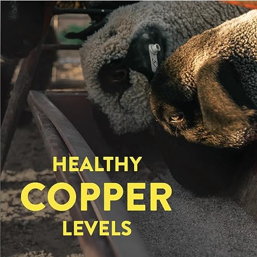Redmond All Natural Sheep Mineral Supplement - Essential Trace Minerals for Overall Health and Growth Support - 5 lbs - size: 5 LB