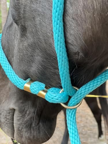 Heavy Duty Horse Lead Rope, 5/8-Inch Thick Nylon with Brass Ring - Soft Training Lead Rope for Horses with D-Ring - Heat-Sealed End for Extra Strength - Snap Link NOT Included - 10-Foot (Royal Blue) - color: Royal Blue