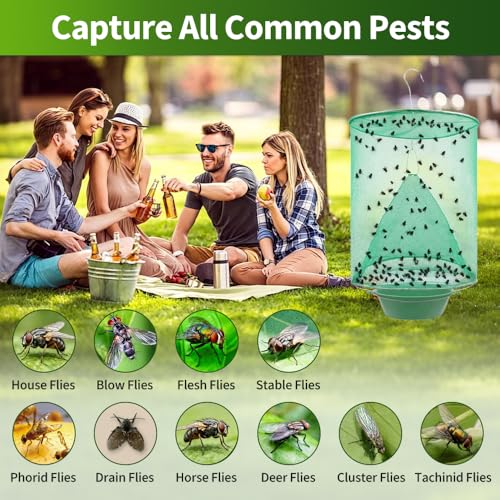 Ranch Fly Traps 6 Pack Reusable Fly Traps Outdoor Hanging with Tray for Barns, Farms, Patios, Backyards and Outdoor Areas