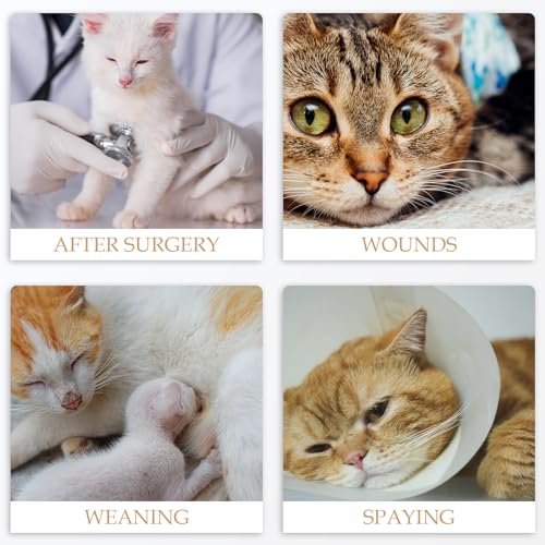 ANWA Cat Recovery Suit - Breathable Cat Onesie for Cats After Surgery Female, Kitten Surgery Recovery Suit Female Abdominal Wounds - color: Dinosaur, size: Medium