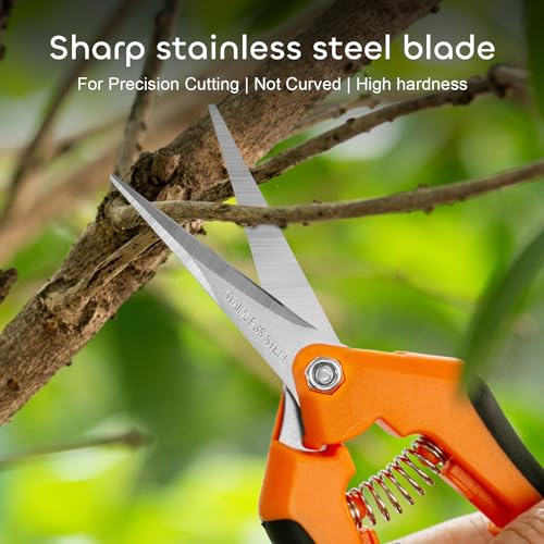 GROWNEER 3 Packs 6.5 Inch Pruning Shears Gardening Hand Pruning Snips Gardening Scissors with Straight Stainless Steel Precision Blades - style: Orange