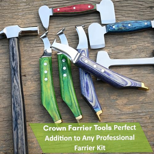 – Super Sharp Hoof Knife | Stainless Steel Blade with Wooden Handle | Professional Farrier Hoof Trimming Tool for Horses & Equine Hoof Care (Green Right-Hand)