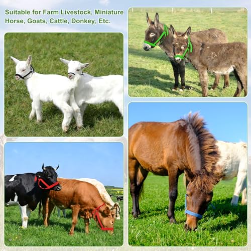 M METERXITY 1-Pack Adjustable Cattle Cow Calf Halter, 13.78"-17.7" Nylon Livestock Cow Halter for Miniature Horse/Donkey/Goat/Cattle [Red] - color: Red