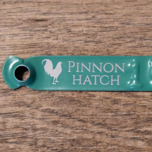 Pinnon Hatch Farms Custom Engraved Aluminum Leg Bands Chicken Poultry Duck Peacock Leg Rings Identification Tags Text and/or Artwork (100, Orange) - color: Orange