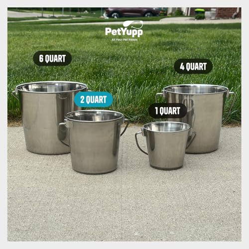 Half Gallon Stainless Steel Bucket - Durable Metal Bucket 2 Quart | Rust-resistant Bucket For Food Prep Cleaning Feeding & Watering Pets & Livestock - For Crates Kennel Cages & Fences - size: 2 Quarts