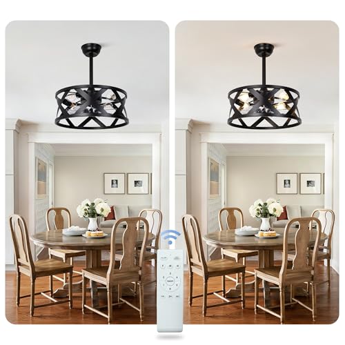 20" Black Caged Ceiling Fan with Lights Remote Modern Fandelier | Industrial Chandelier Light, Reversible DC Motor 6 Speeds for Bedroom Nursery Living Room, 4 E26 Bulbs (Not Included) - color: Black Metal Cage