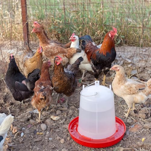 Pickmesh 2 Pcs 2 Gallon Plastic Chicken Waterer for Ducks, Easy Fill | Large Plastic Chicken Waterer, Plastic Poultry Drinker, Automatic Chicken Water Feeder, Duck Baby Chicks Outdoor Farm Rabbit