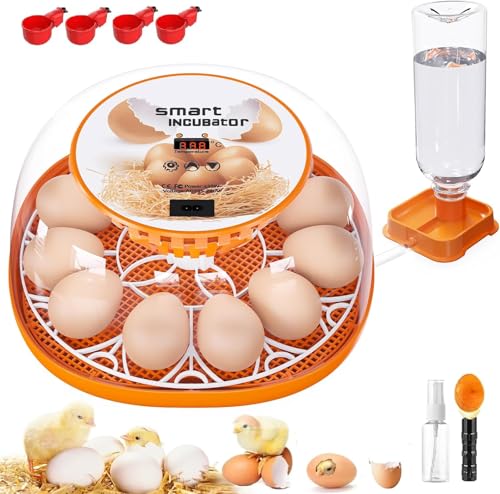 12 Egg Incubator with Automatic Egg Turning and Temperature Control, Automatic Water Adding, LED Egg Candler, Incubators for Hatching Eggs, Chickens, Ducks, Quail - color: Orange