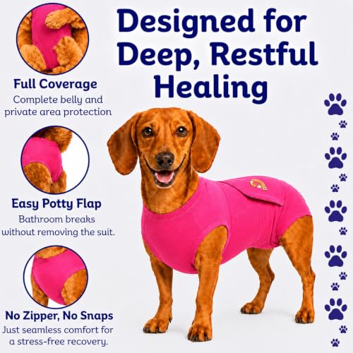 Surgi Snuggly Dog Surgery Recovery Suit, Cone Alternative, Spay/Neuter S | Dog Recovery Suit for Dogs — Veterinarian-Invented Surgical Suit & Recovery Onesie with Easy Bathroom Access After Surgery - color: Princess Pink, size: Small (L-10"-13" | G-14"-19