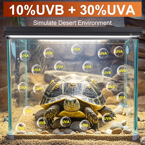 UVB Reptile Light Kit, 24W T5 Lamp Fixture and 10.0 UVB Tube Combo, Linear Lighting Bar for Desert Dwelling Reptiles, Bearded Dragon, Chameleon, Gecko, Lizards, Tortoises, Turtles, Snake - size: UVB10.0