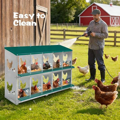 10-Compartment Chicken Nesting Box, Heavy Duty Galvanized Steel Poultry Nest Box, Wall Mount/Freestanding Design for Hens, Ducks, Backyard Homesteads & Farm Use, Green, 10 Mats &4 Eggs, No Stand - color: Green, size: 10 Room&Mat eggs