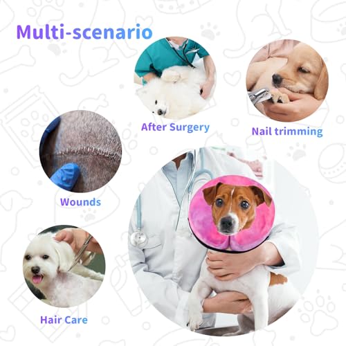 Dog Cone, Y-blue Dog Cone Collar Inflatable Puppy Neck Collar(Rose Purple, XL) - color: Rose Purple, size: X-Large