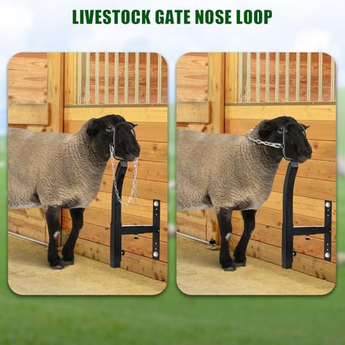Livestock Stand 9.8 inch Height Adjustable, Goat Stand 5.9 inch Length Adjustable，Metal Livestock Stand Attachment Nose Loop Headpiece, Trimming Stand for Goat & Sheep. | Nose Loop Headpiece for Goat & Sheep, Powder-Coated Steel Trimming Stand for Farm Gr