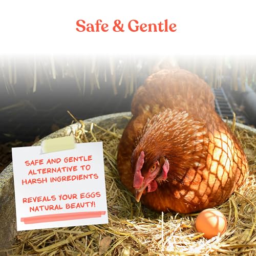 Manna Pro Egg Cleanser Natural Enzyme Wash for Fresh Eggs, 16 oz | Natural Enzyme Egg Wash, Cleans Fresh Eggs, Gentle Formula for Backyard Flocks, Ready-to-Use 16 oz Bottle - size: 16 Fl Oz (Pack of 1)