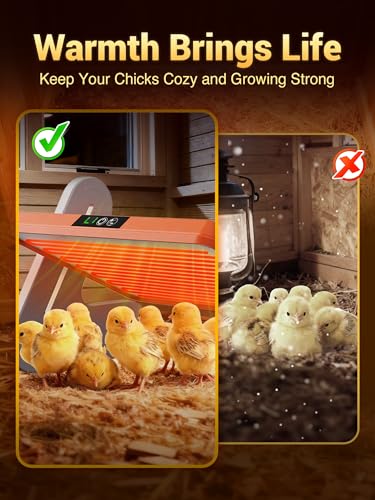 Ficuswin Brooder Heater for 20 Chicks, Chicken Heating Brooder Plate with 3 Adjustable Temp Settings, Safe Coop Heater for Poultry Cage Warmer, 16"x10" Energy Efficient Radiant Heat Pad(ETL Compliant)