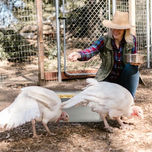 FlidRunest Heavy Duty Metal Chicken Feeder Trough, Durable Duck Water Feeder, Large Capacity Livestock Water Pan for Duck Pig Chick Deer, Easy to Clean