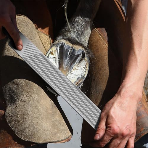 Gisafai 2 Pcs 18 Inch Rasps for Shoeing Horses with Handle Trimming File Carbon Steel Farrier Tools for Repair Horse Goat Hooves Cow Donkey Pig Animal Hooves Repairing Wood Working Supplies - size: 18 Inch
