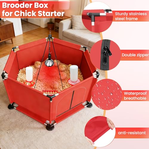 Chicks Brooder Box for Chicken Starter Kit–Includes Heat Lamp, Chick Feeder and Waterer Set, Perch & Sawdust for Up to 30 Baby Chicks, Ducklings & Quail–Complete Poultry Brooder Set