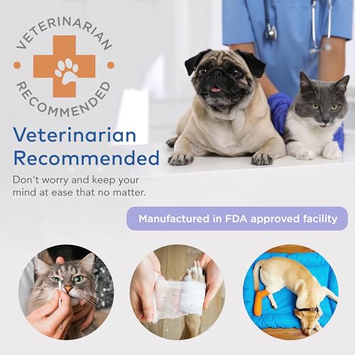 ARCA PET Cat & Dog First Aid Kit for Car - Pet Emergency Kit for Home Office Travel – Dog Camping Essentials with Digital Thermometer, Muzzle & Mini First Aid Pouch - size: CoreCare Kit