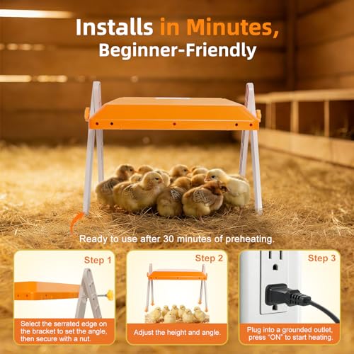 Chick Brooder Heating Plate - Briidea 80W Brooder Heater with 3 Adjustable Temperature, 10 PET Cleaning Film, Adjustable Height & Angle, Warmth Like Hen, 10" x 10" for 15 Small Poultry - color: 3 Adjustable Temperature