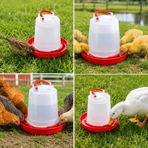 6 Pack Chick Waterer, 1L Poultry Water Feeder Plastic | Poultry Drinker with Handle, Chicken Water Dispenser, Waterer Hanging Poultry Water Container for Chickens Quail