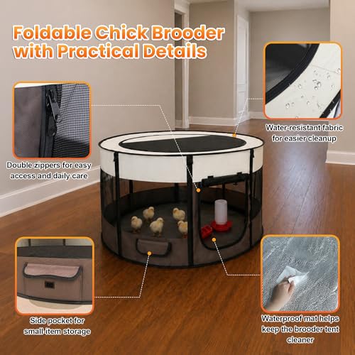 Large Chicken Brooder Box- Chick Starter Kit Includes Pop Up Chicken Playpen Tent, Waterproof Mat, Chick Feeder and Waterer, Portable Chicken Brooding Pen Up to 20 Chicks,Quail,Duck for Indoor Outdoor