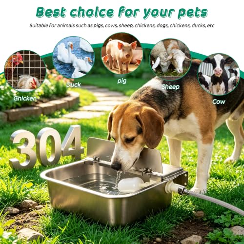 2.5 Gal Automatic Dog Water Dispenser,Self Filling Stainless Steel | Float Valve Auto-Refill |Fits 3/4" GHT | Wall Mount & Floor Use | Anti-Slip|Drain Plug| For Dogs, Cats, Chickens & Livestock