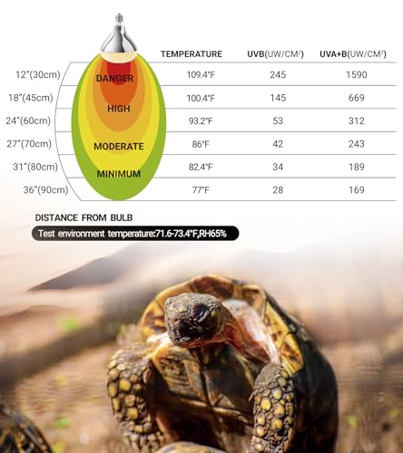 REPTI ZOO Lighting Combo Kit 160W Reptile Heat Lamp UVA UVB Bulbs for Reptiles and 8.5 Inch Reptile Light Fixture Dome Lamp Fixture Dome Light with Timer Tortoises/Snakes/Lizards/Bearded Dragons