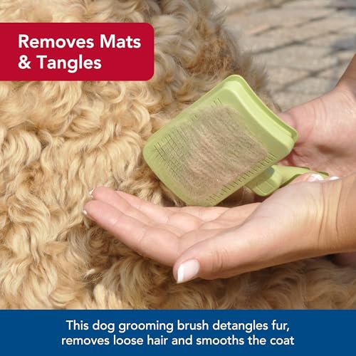 Coastal Pet Safari Dog Self-Cleaning Slicker Brush - Dog Deshedding Brush - Prevents Mats and Tangled Hair - For Dogs with Short or Long Hair - Medium - 4.25" x 4.06" - size: Medium