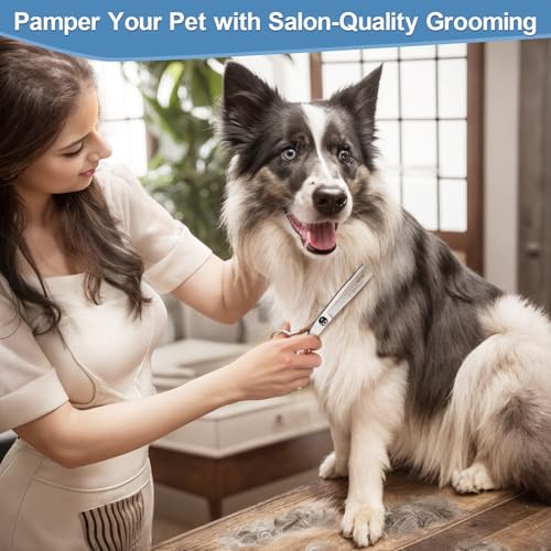 Gimars Titanium Coated Professional 6 in 1 4CR Stainless Steel Dog Grooming Scissors with Safety Round Tip, Heavy Duty Pet Grooming Scissor for Dogs, Cats and Other Animals - style: Professional Blue 6 in 1