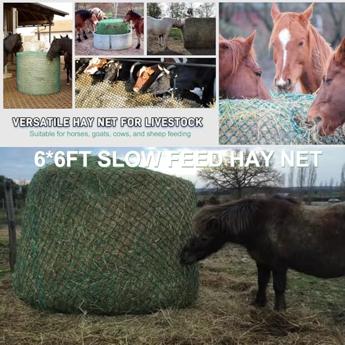 6x6 ft Square Bale Hay Net - Large Slow Feeder for Horses & Livestock, Knotless Design Slow Feeder Hay Nets, Fits 4x4ft 5x5ft 6x6ft Round & 3x3x8ft 4x4x8ft 5x5x8ft Square Bales (Green-Square) - color: Green-Square