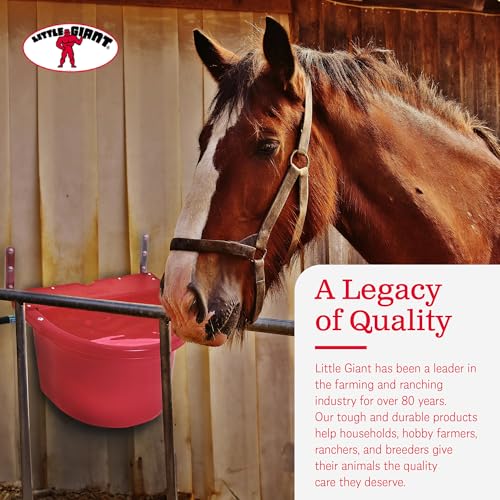 Little Giant FW16RED 4 Gallon Capacity Automatic Float Controlled Waterer Animal Horse & Cattle Livestock Water Trough, Red (2 Pack)