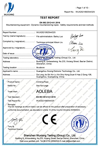 AOLEBA 10.5 mm Static Climbing Rope 10M(32ft) 20M(64ft) 30M(96ft) 50M(160ft) 70M(230ft) Outdoor Rock Climbing Rope, Escape Rope Ice Climbing Equipment Fire Rescue Parachute Rope - color: Blue, size: 96ft