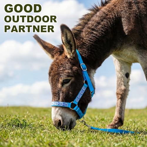 1 Set Mini Donkey Halter with Lead Rope Adjust, Lake Blue | Nylon Head Collar, Cute and Stylish, for Miniature Donkey and Small Equines, Farm Ranch Pasture Outdoor, Gingham Plaid Trim - color: Lake Blue
