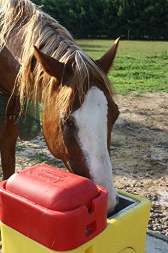 Ritchie Omni Fount 1 Automatic Heated Cattle Horse Waterer