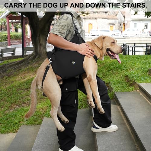 Coodeo Dog Lift Harness, Pet Support & Rehabilitation Sling Lift Adjustable Padded Breathable Straps for Old, Disabled, Joint Injuries, Arthritis, Loss of Stability Dogs Walk (Black, XL) - color: Black, size: Extra Large