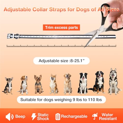 Electric Fence for Dogs, Electric Dog Fence with 2 Waterproof Collar | Underground Dog Fence Rechargeable, 656Ft Boundary Wire, Radio Boundary, Dog SafetyWired Dog Fence System for 2 Dogs