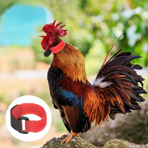 M METERXITY 10-Pack Rooster Collars, 8.07" x 0.79" Adjustable Soft Polyester Anti-Noise Neck Belt for Chickens and Poultry Birds, Noise Control Collar [Red/Yellow] - color: Red/Yellow