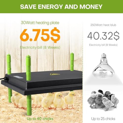 Chick Brooder Heater Plate for 40 Baby Chicks Ducks | 12" x 16" Brooder Heating Plate, Adjustable Height, 30W, 110V - size: 16.3"L x 12.0"W x 3.0"H
