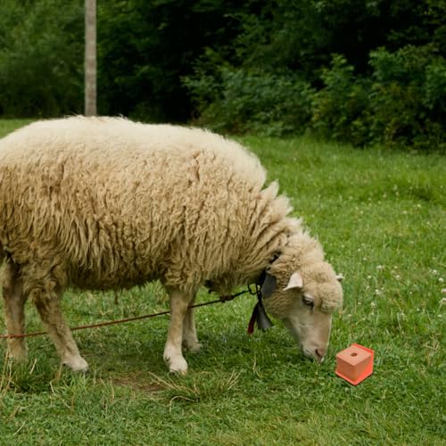 Toddmomy Salt Block Holder for Livestock Thickened Salt Blocks Box for Cattle Sheep Goats Lick Mount and Feeding Tray Easy to Assemble Farm Feeding Accessory 6.69 X 6.69 X 5.70 in