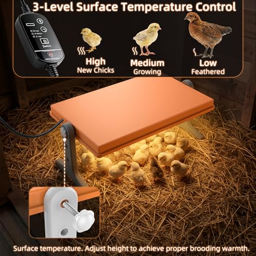 Chick Brooder Heater Plate, 12"x7.9" Warm Brooder Plate for Chicks Poultry | Chicken Brooder with Adjustable Height, Angle & Temperature, 50W Heat Plate for Chicks Poultry, Warm like Mother Hen